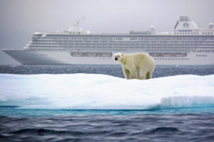polar-bear-along-the-route