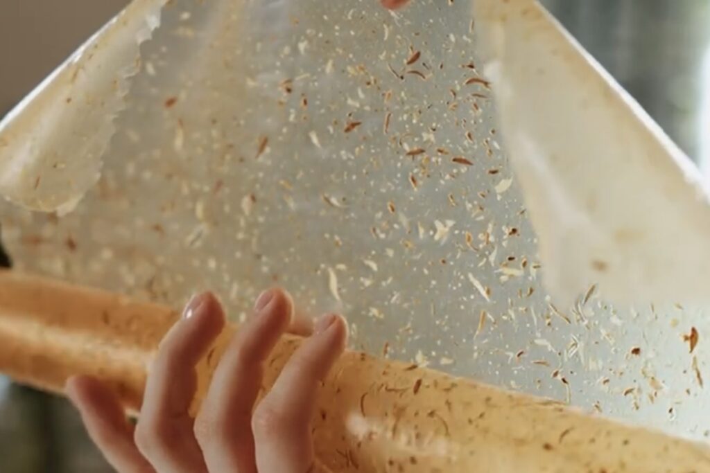 Biodegradable Apple Plastic by Tasha Lapidus (close-up showing the material’s transparency and texture).