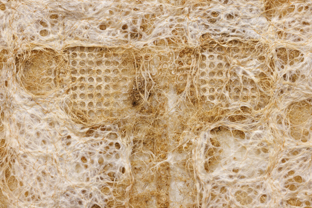 Root Growing Textile by Tasha Lapidus – an experimental textile created from naturally grown plant roots. 
